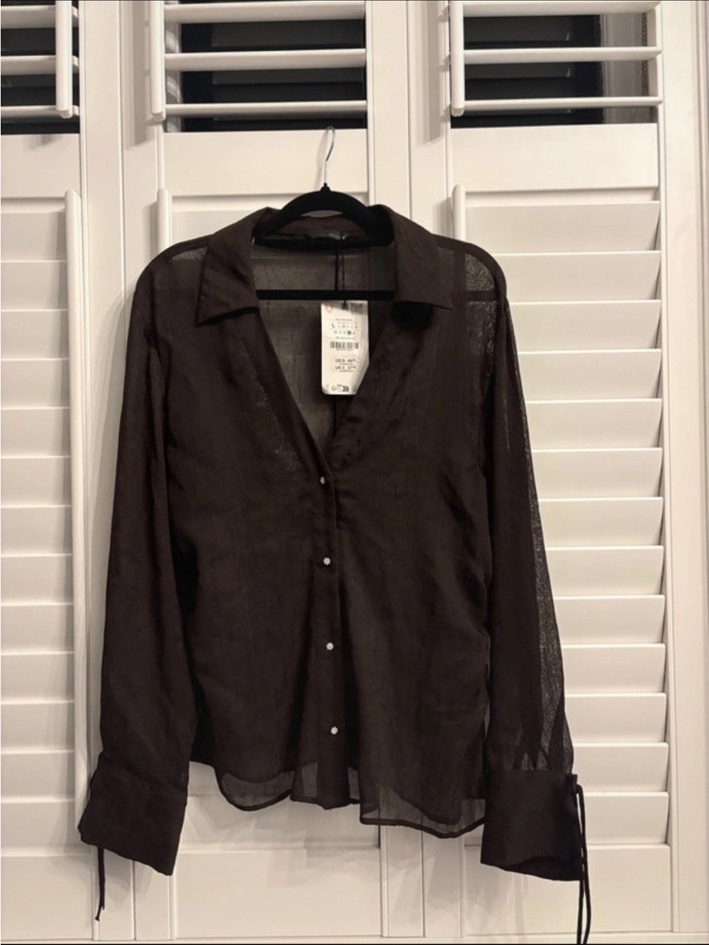 Zara Sheer Button-Front Blouse in Dark Brown